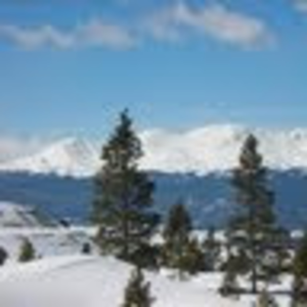 Meet your Posher, Blake